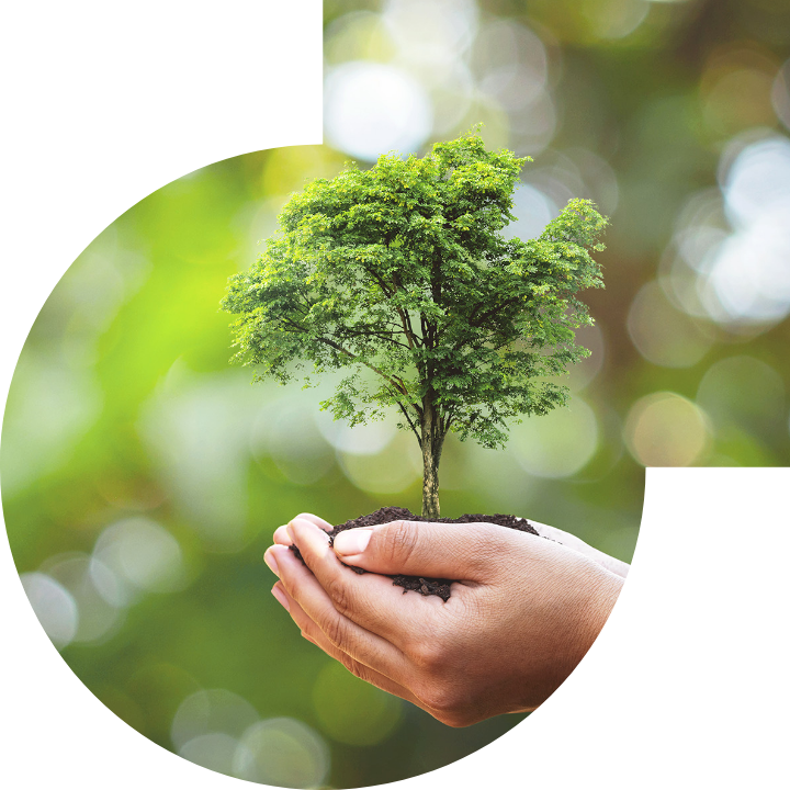 關懷人類、文化、環境與社會